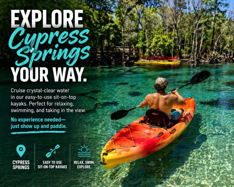 Kayak & Paddle Board Rentals in Vernon