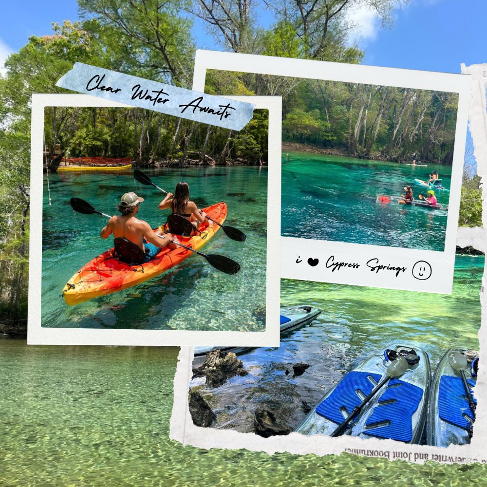 kayak and paddleboard rentals